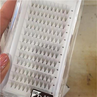 10 डी लैश प्रशंसक