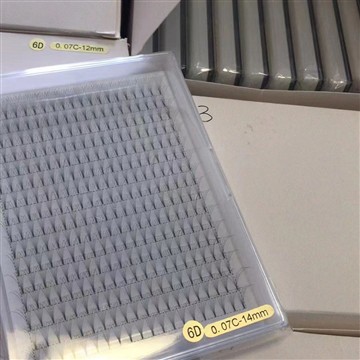 लार्ज ट्रे 320 प्रेमाडे लैश फैन्स का नया ऑर्डर